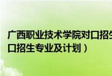 广西职业技术学院对口招生（2022广西科技职业学院高职对口招生专业及计划）