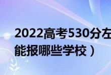 2022高考530分左右能上什么大学（文理科能报哪些学校）