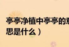 亭亭净植中亭亭的意思（亭亭净植中亭亭的意思是什么）