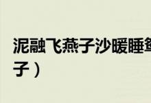 泥融飞燕子沙暖睡鸳鸯诗意是什么（泥融飞燕子）