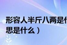 形容人半斤八两是什么意思（人半斤八两的意思是什么）