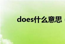 does什么意思（does怎么造句呢）