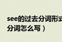 see的过去分词形式加ed是什么（see的过去分词怎么写）