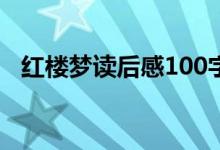 红楼梦读后感100字（红楼梦读后感示例）