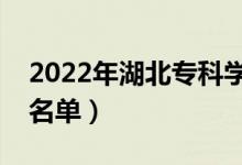 2022年湖北专科学校排名（最好的高职院校名单）