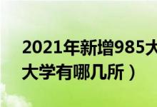 2021年新增985大学3所大学（2022年985大学有哪几所）