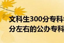 文科生300分专科学校（2022高考文科300分左右的公办专科大学）