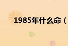 1985年什么命（1985年具体什么命）