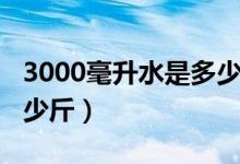 3000毫升水是多少瓶装水（3000毫升水是多少斤）