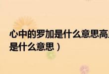 心中的罗加是什么意思高血压的人不能喝鸡汤（心中的罗加是什么意思）