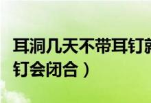 耳洞几天不带耳钉就长住了（耳洞几天不带耳钉会闭合）