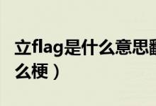 立flag是什么意思翻译（立flag是什么意思什么梗）