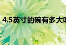 4.5英寸的碗有多大呀（4.5英寸的碗有多大）