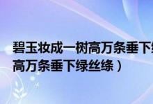 碧玉妆成一树高万条垂下绿丝绦是什么意思（碧玉妆成一树高万条垂下绿丝绦）