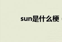 sun是什么梗（sun是什么日期）