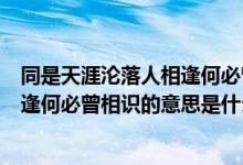 同是天涯沦落人相逢何必曾相识的意思（同是天涯沦落人相逢何必曾相识的意思是什么）