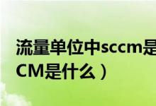 流量单位中sccm是什么意思（流量单位中SCCM是什么）