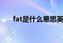 fat是什么意思英语（fat是什么意思）