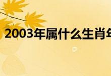 2003年属什么生肖年（2003年属什么生肖）