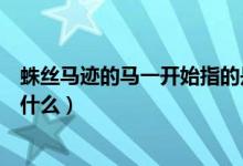 蛛丝马迹的马一开始指的是啥（蛛丝马迹的马一开始指的是什么）