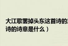 大江歌罢掉头东这首诗的意思是什么（大江歌罢掉头东这首诗的诗意是什么）