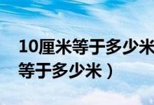 10厘米等于多少米等于多少平方米（10厘米等于多少米）