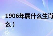 1906年属什么生肖年是什么命（1898年属什么）