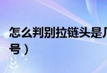 怎么判别拉链头是几号（怎样判别拉链头是几号）