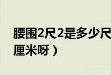 腰围2尺2是多少尺码男生（腰围2尺2是多少厘米呀）