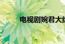 电视剧婉君大结局（讲述了什么）