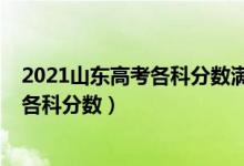 2021山东高考各科分数满分多少（2022年山东高考总分及各科分数）