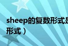 sheep的复数形式是什么意思（sheep的复数形式）