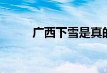 广西下雪是真的吗（广西下雪吗）