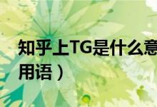 知乎上TG是什么意思（知乎tg什么意思网络用语）