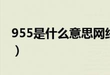 955是什么意思网络语（955是什么意思上班）