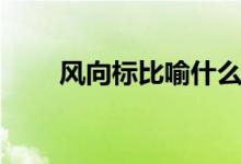 风向标比喻什么（风向标比喻什么）