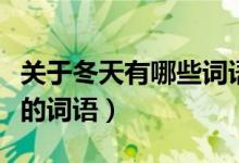 关于冬天有哪些词语有哪些（什么的冬天合适的词语）