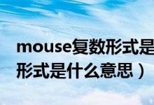 mouse复数形式是什么怎么写（mouse复数形式是什么意思）