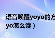 语音唤醒yoyo的方式都有哪些（语音唤醒yoyo怎么读）