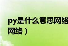 py是什么意思网络用语全称（py是什么意思网络）