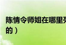 陈情令师姐在哪里死的（陈情令中师姐怎么死的）