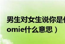 男生对女生说你是他的homie（女生叫男生homie什么意思）