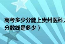 高考多少分能上贵州医科大学神奇民族医药学院（2021录取分数线是多少）