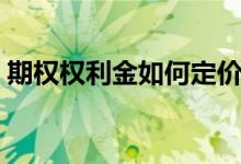 期权权利金如何定价（期权权利金如何计算）