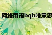 网络用语bqb啥意思（rbq啥意思 网络用语）