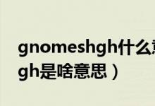 gnomeshgh什么意思中文翻译（gnomeshgh是啥意思）