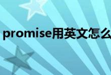 promise用英文怎么说（promise用法搭配）