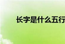 长字是什么五行（长字是什么结构）