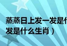 蒸蒸日上发一发是什么生肖发（蒸蒸日上发一发是什么生肖）