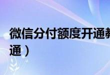 微信分付额度开通教程（微信分付额度如何开通）